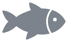 Sea Food