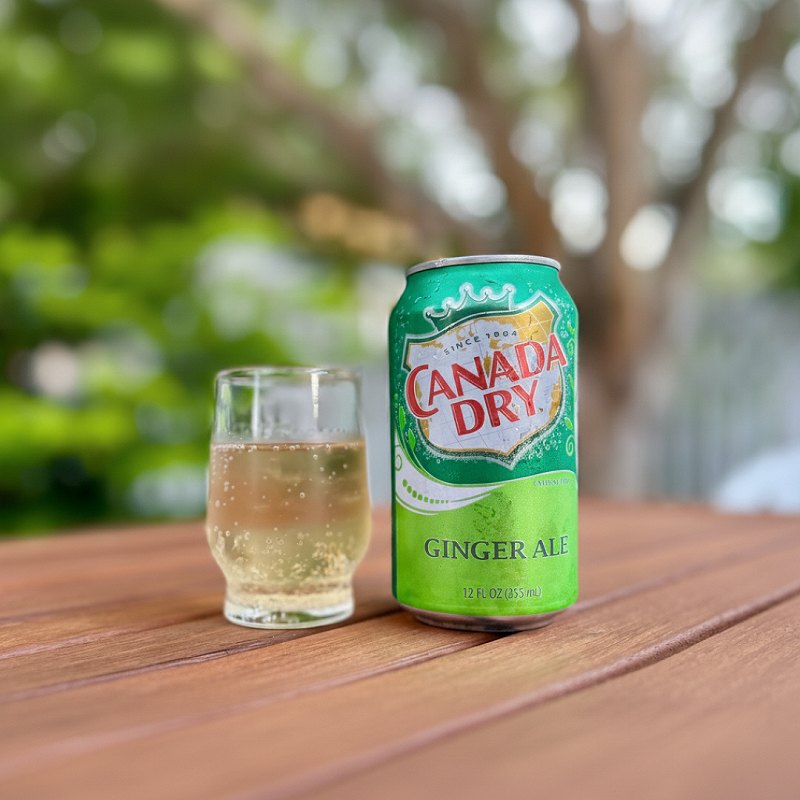 Canada Dry Ginger Ale – Drinks | Digit Dine